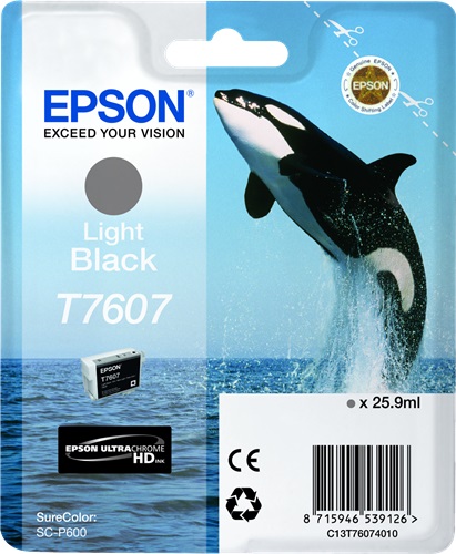 Cartuccia EPSON originale  C13T76074010, T7607