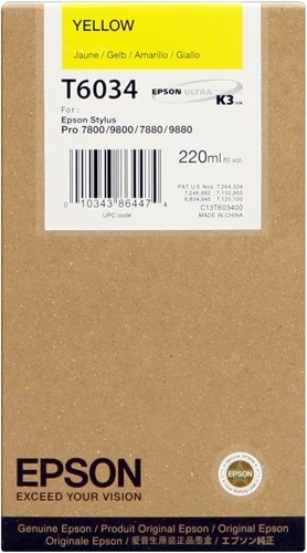 Cartuccia EPSON originale  C13T603400, T6034