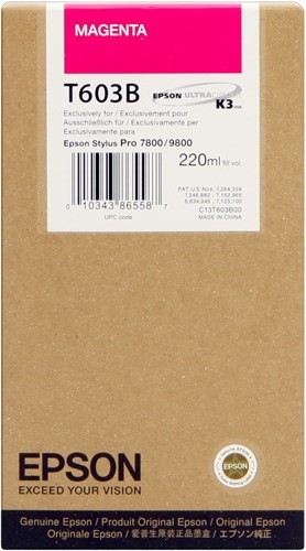 Cartuccia EPSON originale  C13T603B00, T603B