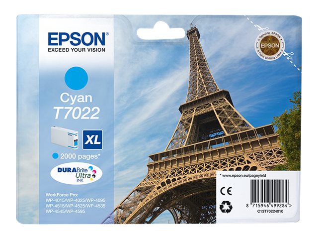 Cartuccia EPSON originale  C13T70224010, T7022