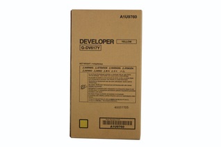 Cartuccia Developer Originale MINOLTA  A1U9760, DV617Y