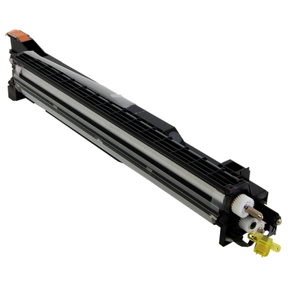 Cartuccia Developer Originale RICOH  D809-3003, D809-3033