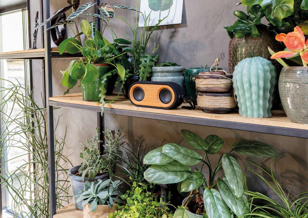 Bamboo Song - doppio speaker