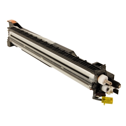 [1460440] Cartuccia Developer Originale RICOH  D809-3004, D809-3034