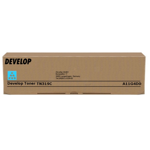 [1250385] Toner originale DEVELOP  A11G4D0, TN-319C